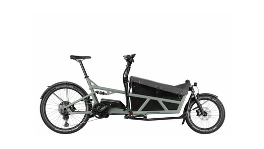 Riese & Müller Load4 60 touring