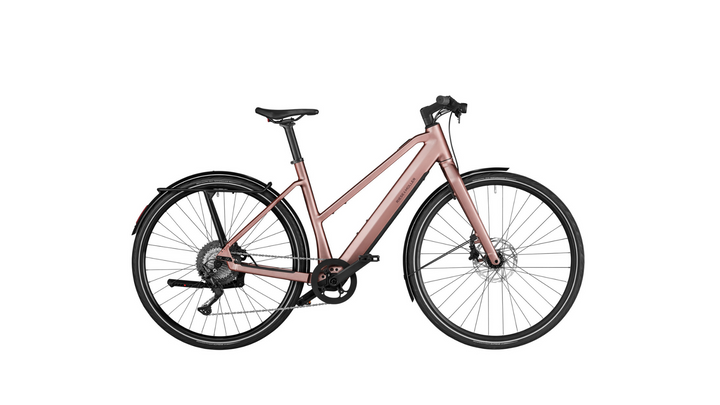 Riese & Müller UBN Seven touring 51cm